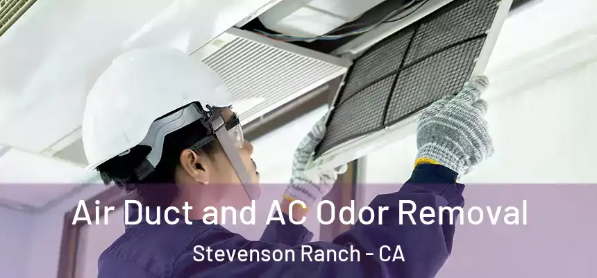  Air Duct and AC Odor Removal Stevenson Ranch - CA