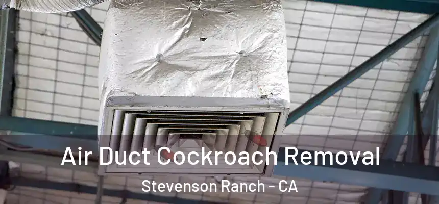  Air Duct Cockroach Removal Stevenson Ranch - CA
