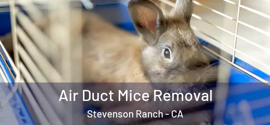  Air Duct Mice Removal Stevenson Ranch - CA