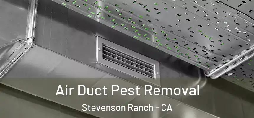  Air Duct Pest Removal Stevenson Ranch - CA