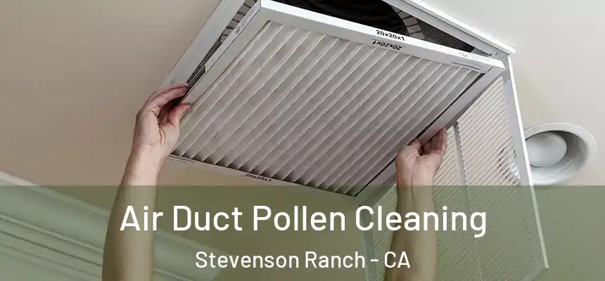  Air Duct Pollen Cleaning Stevenson Ranch - CA