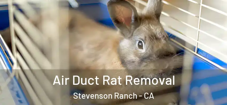  Air Duct Rat Removal Stevenson Ranch - CA