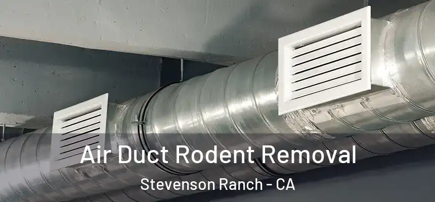  Air Duct Rodent Removal Stevenson Ranch - CA