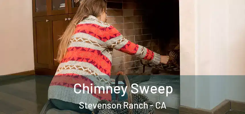  Chimney Sweep Stevenson Ranch - CA