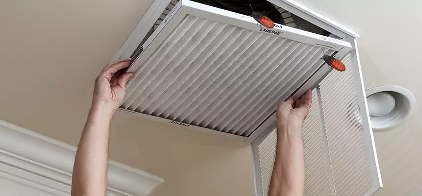 Our Insect Removal from Air Ducts Services in Stevenson Ranch, CA