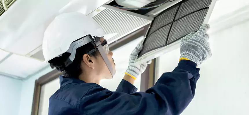 Our Mold & Mildew Removal from Air Ducts Services in Stevenson Ranch, CA