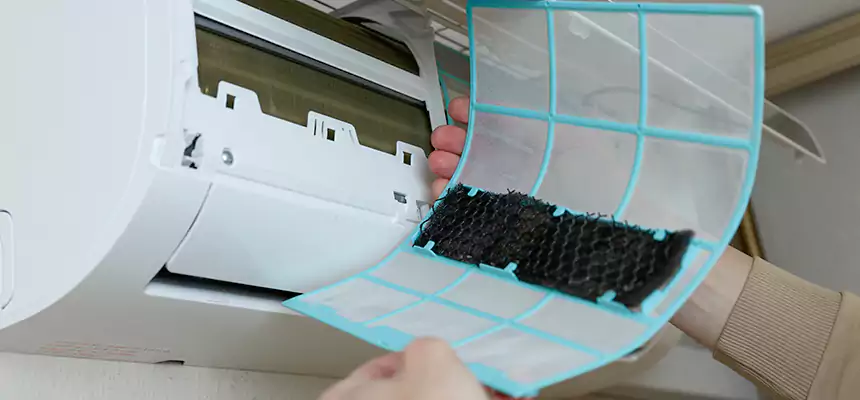 Gentle Ductwork Odor-Control Pet Dander Duct Cleaning in Stevenson Ranch, CA