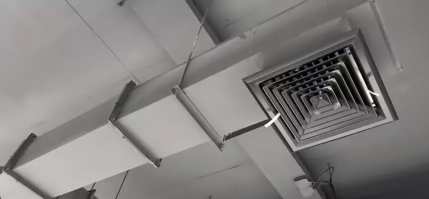 Our Rodent Droppings In Vents Services in Stevenson Ranch, CA