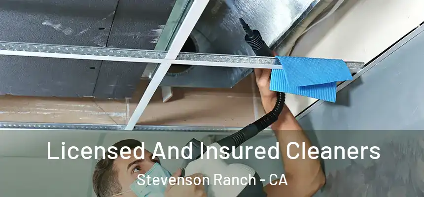  Licensed And Insured Cleaners Stevenson Ranch - CA
