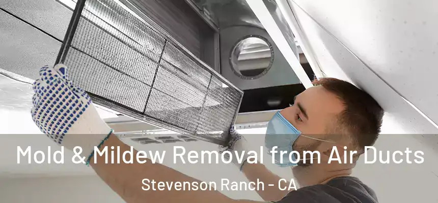  Mold & Mildew Removal from Air Ducts Stevenson Ranch - CA