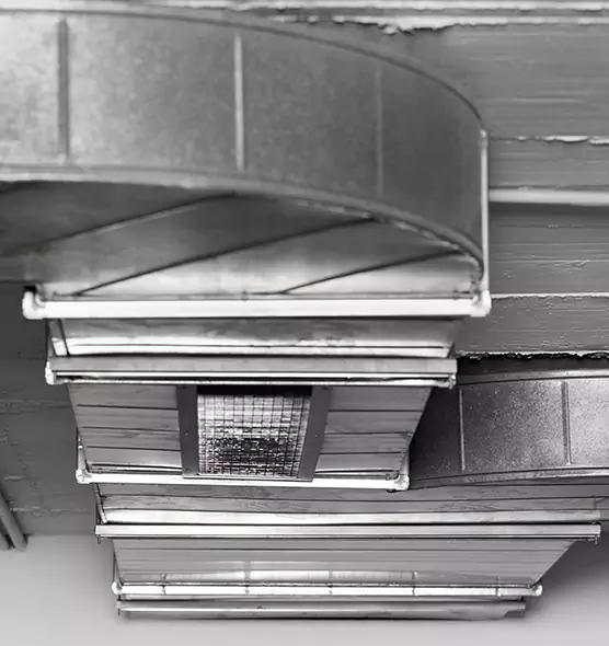 Professional Air Duct Pest Removal in Stevenson Ranch, CA