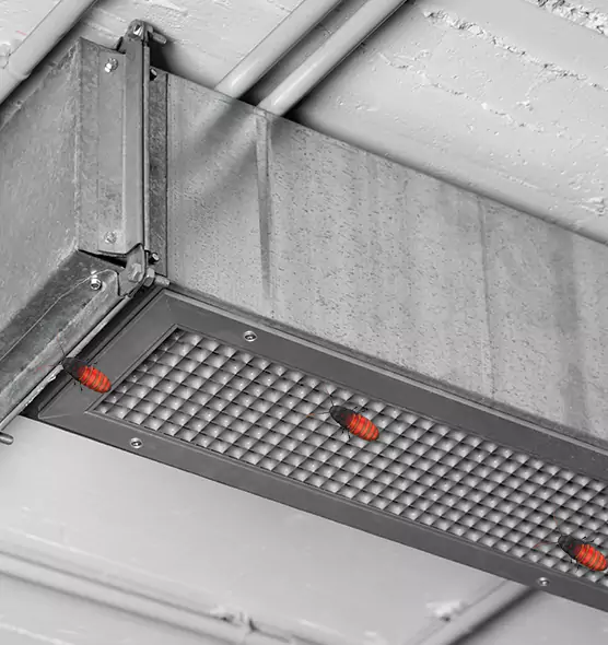 Affordable Insect Removal from Air Ducts in Stevenson Ranch, CA