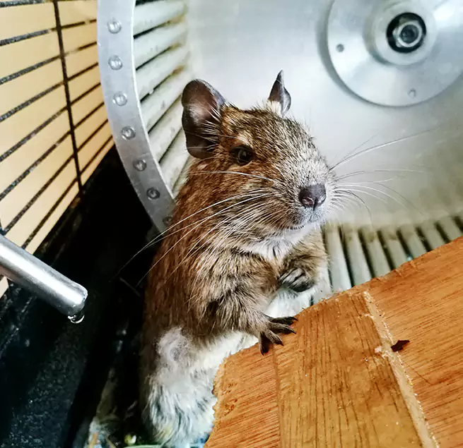 Why Homeowners & Businesses Trust Us Stevenson Ranch, CA